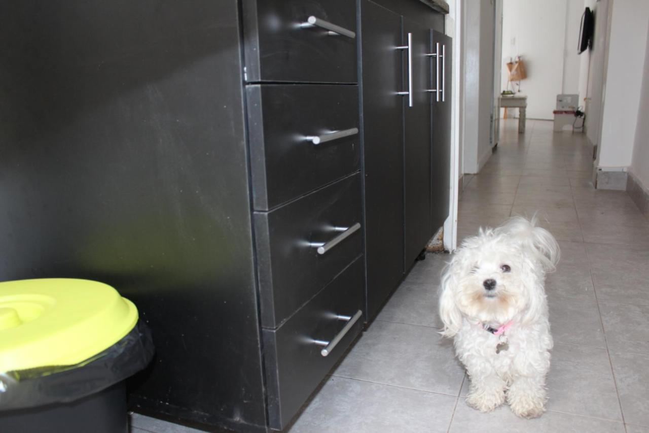 Departamento Entrada Independiente En Belgrano Proximo Al Subte Linea D Apartamento Ciudad Autónoma de Buenos Aires