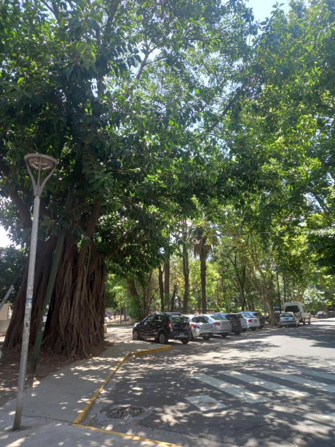 Departamento Cramer Y Sucre Apartment *