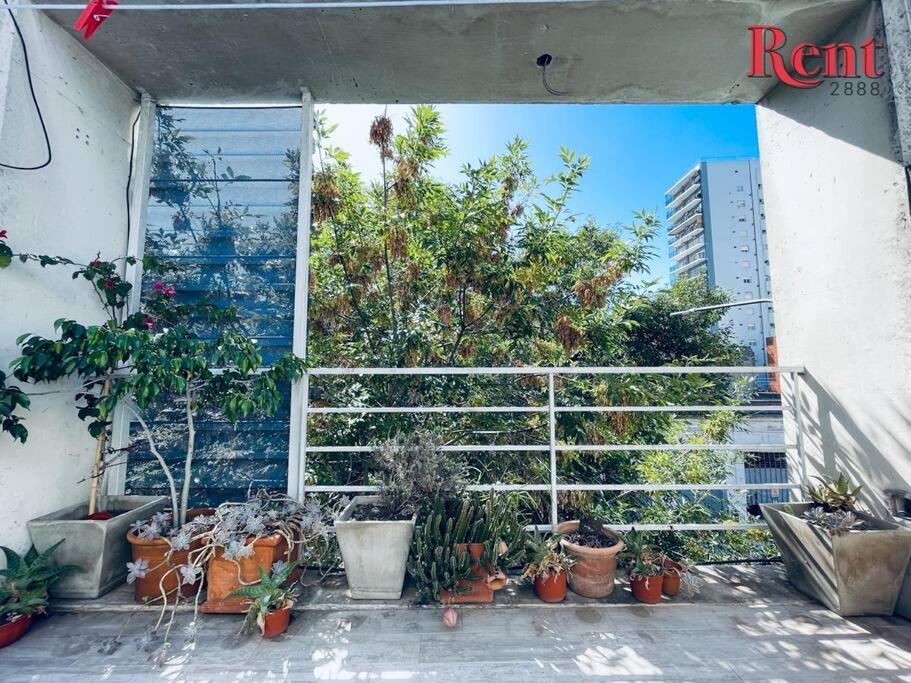 Apartamento Rent Plaza *