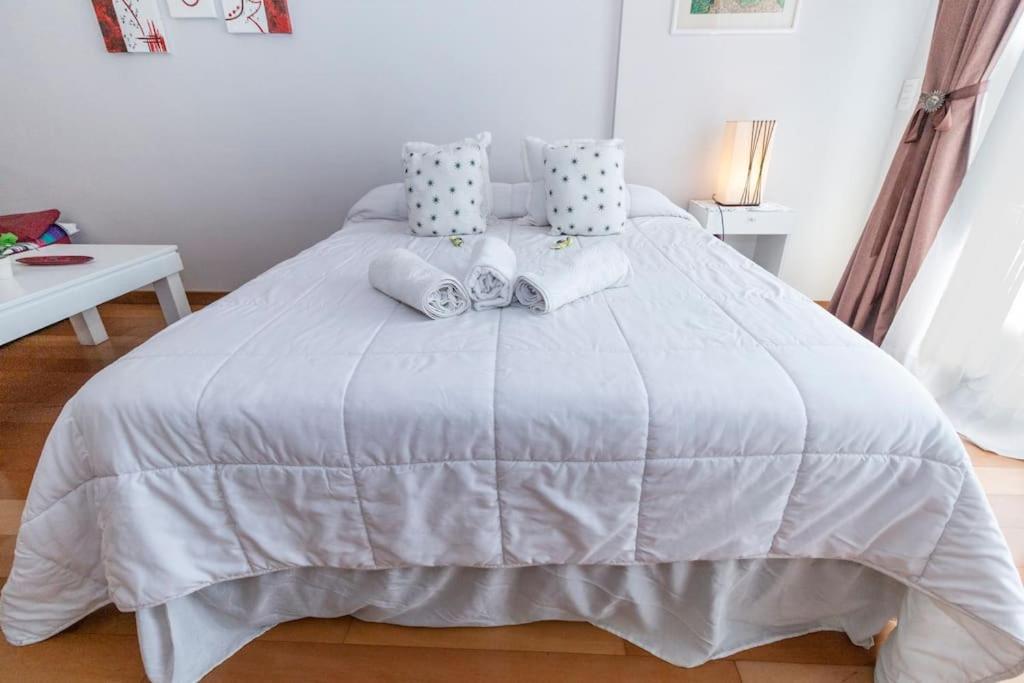 Apartamento Recoleta Luminoso Buena Ubicacion *
