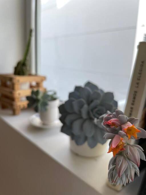 Apartamento Wow! Departamento Boutique En Bs As Ciudad Autónoma de Buenos Aires