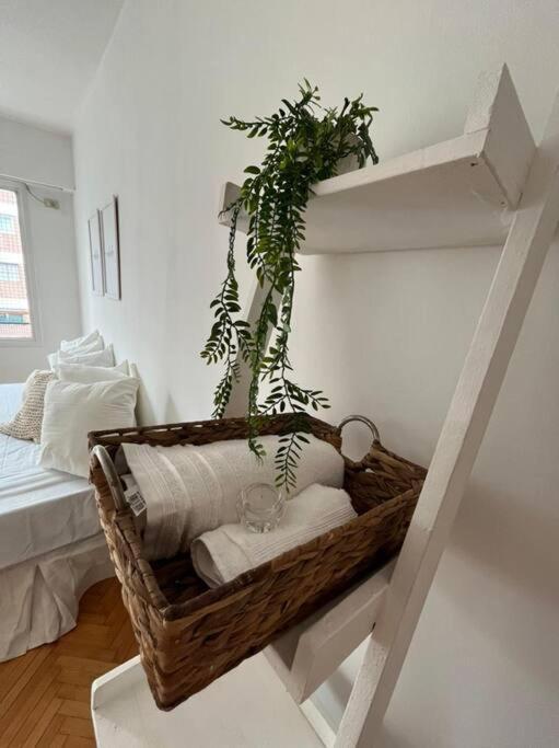Apartamento Bright In Palermo