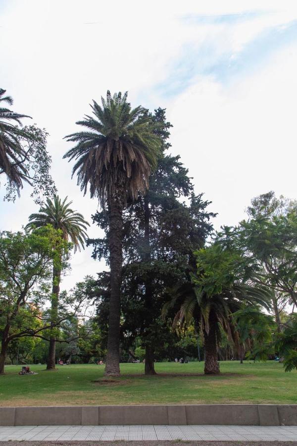 Apartamento Excelente Piso En El Corazon De Palermo -5 Pax-