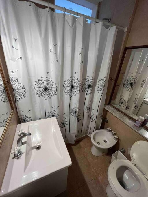 Departamento 2 Amb Reciclado