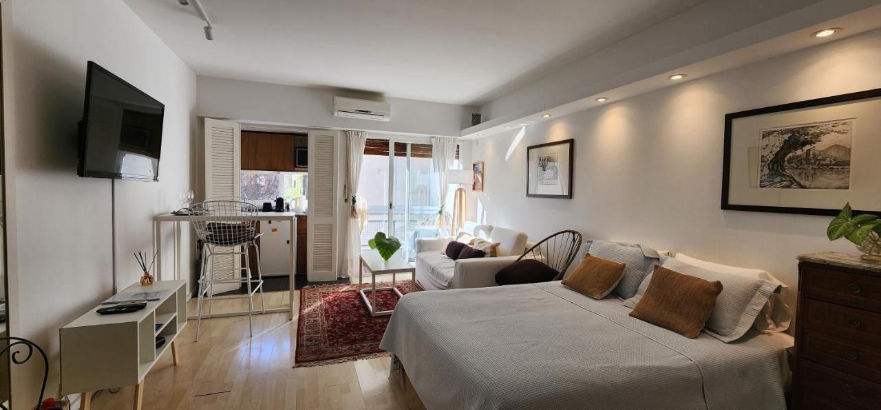 Lovely And Quiet Studio In The Heart Of Recoleta Apartamento