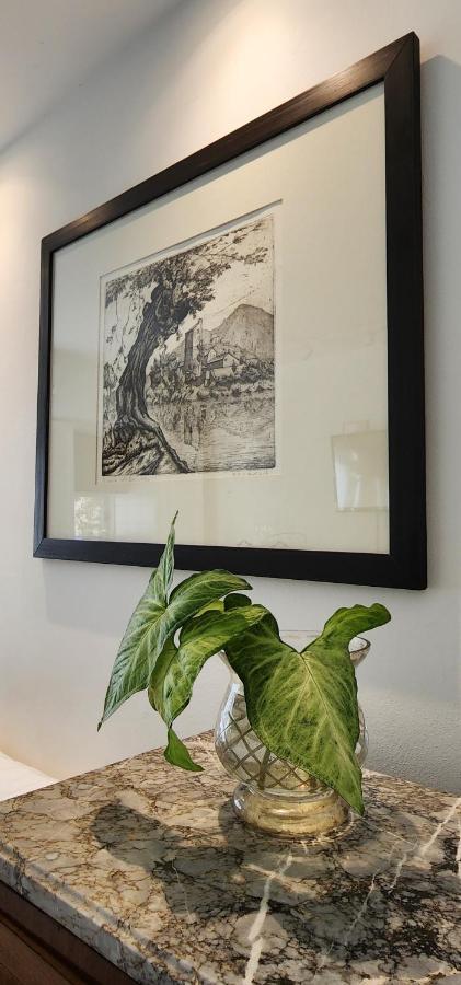 Lovely And Quiet Studio In The Heart Of Recoleta Apartamento Ciudad Autónoma de Buenos Aires