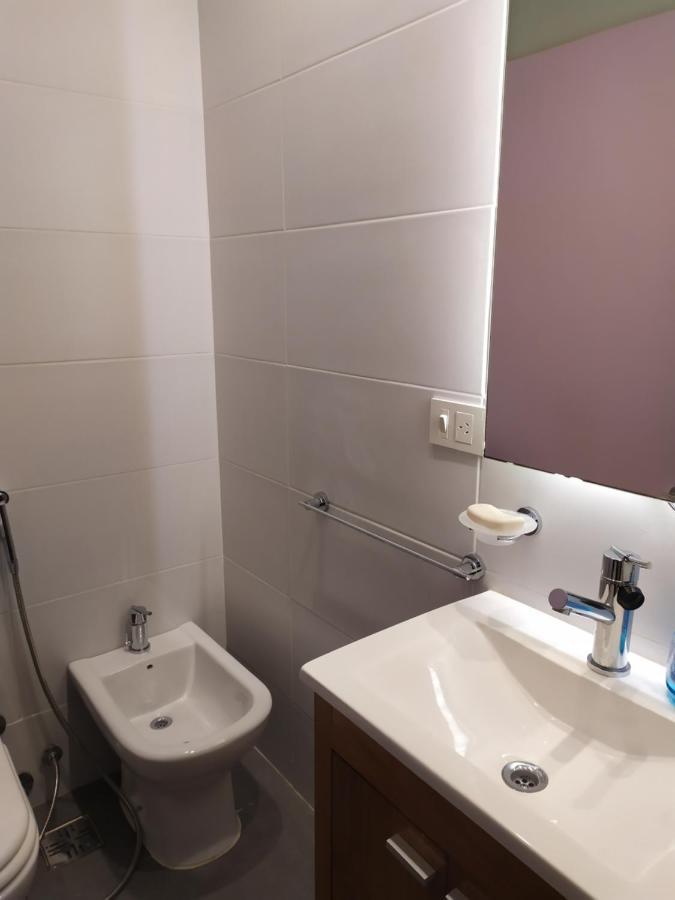 Palermo Bulnes Apartment