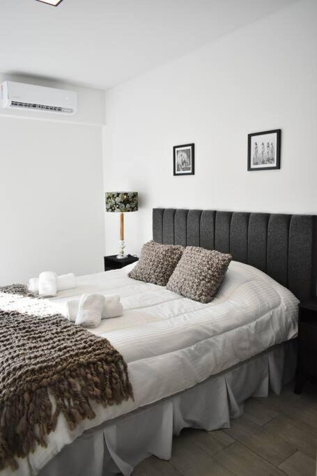 Palermo Soho Life Scbr1492-505 *