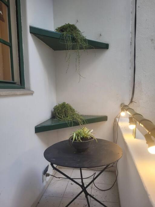 Apartamento Departamento Elegante Y Centrico *