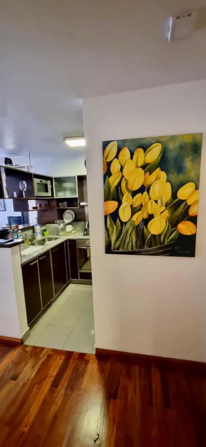 Departamento En Recoleta Apartamento *