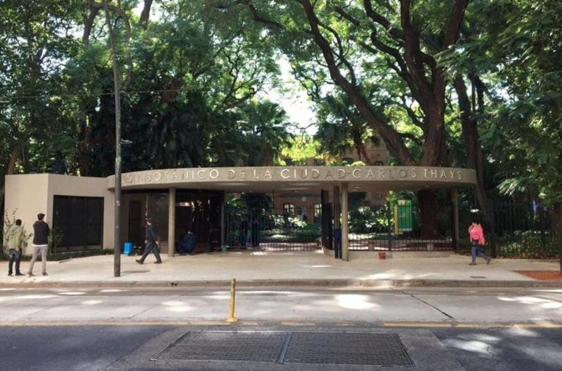 Excelente Y Luminoso Palermo Soho / Botanico 2 Amb * Buenos Aires