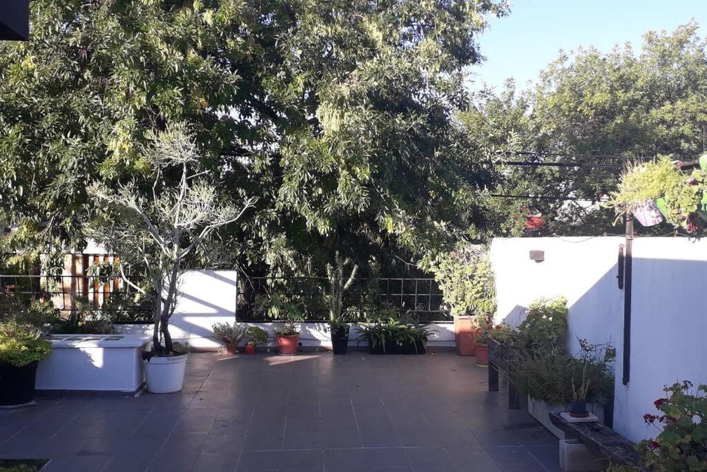 Palacio Lugones - Terraza Premium *