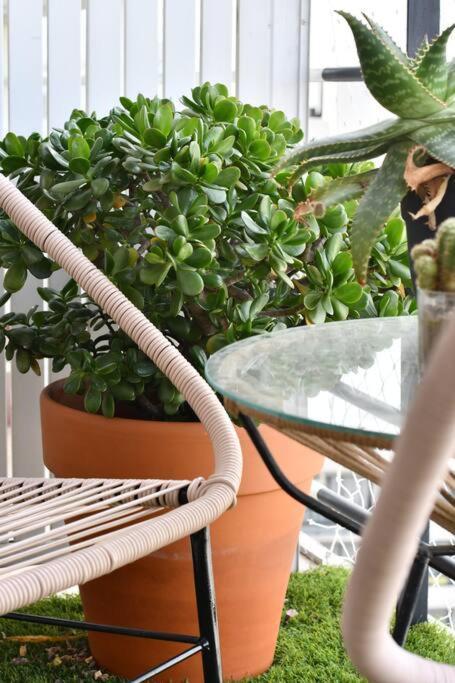 Apartment Cambacua Bulnes *
