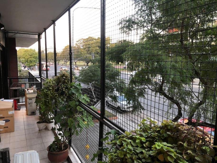 Se Alquila En Suite. Convive C/ Gatos Apartment