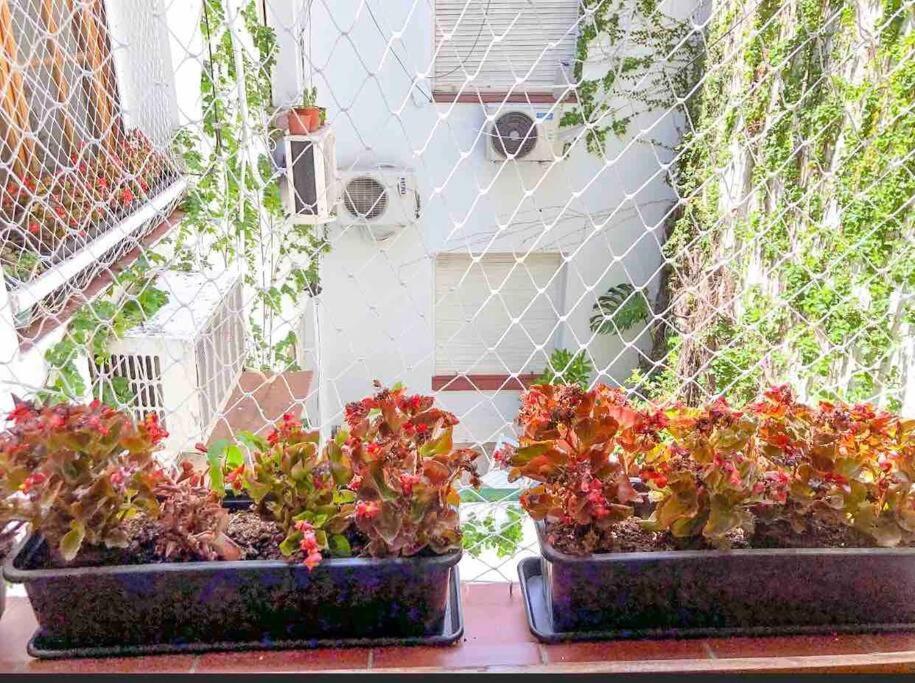 Apartamento Calido Departamento En Palermo Soho Buenos Aires