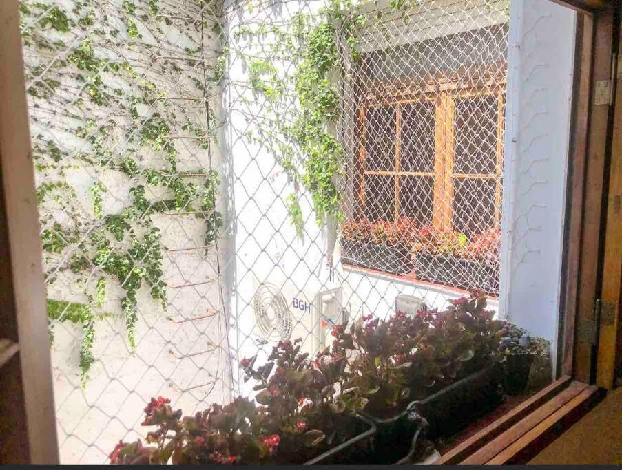 Apartamento Calido Departamento En Palermo Soho *