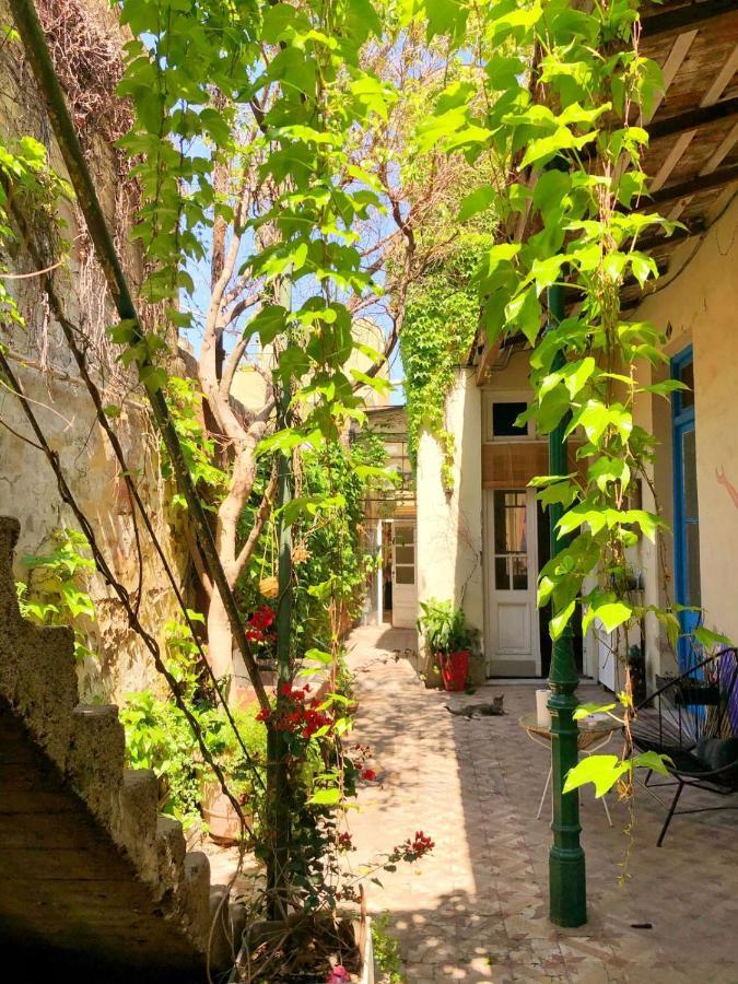 Casa Queer Homestay