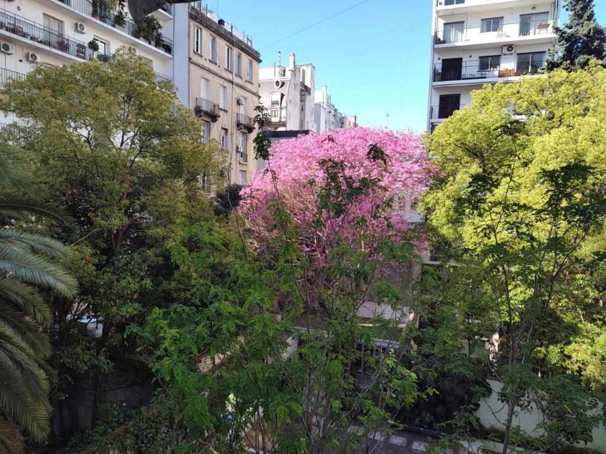 Monoambiente Con Vista A Jardin Apartment