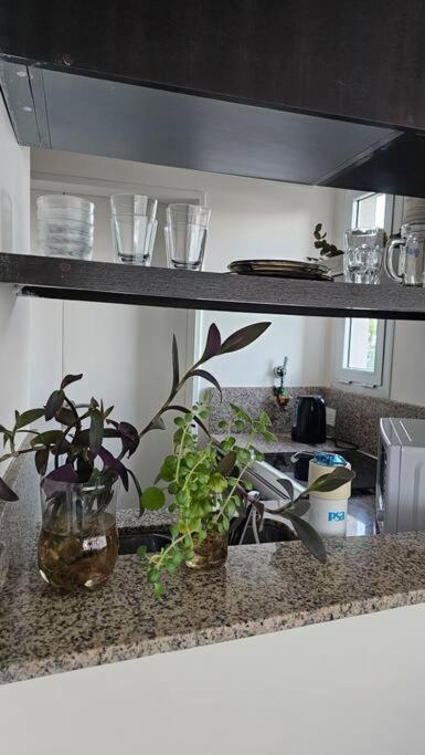 Palermo Duplex Con Terraza Propia *