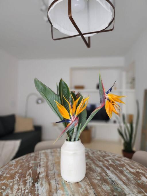 Apartamento Excelente Departamento En Av. Del Libertador
