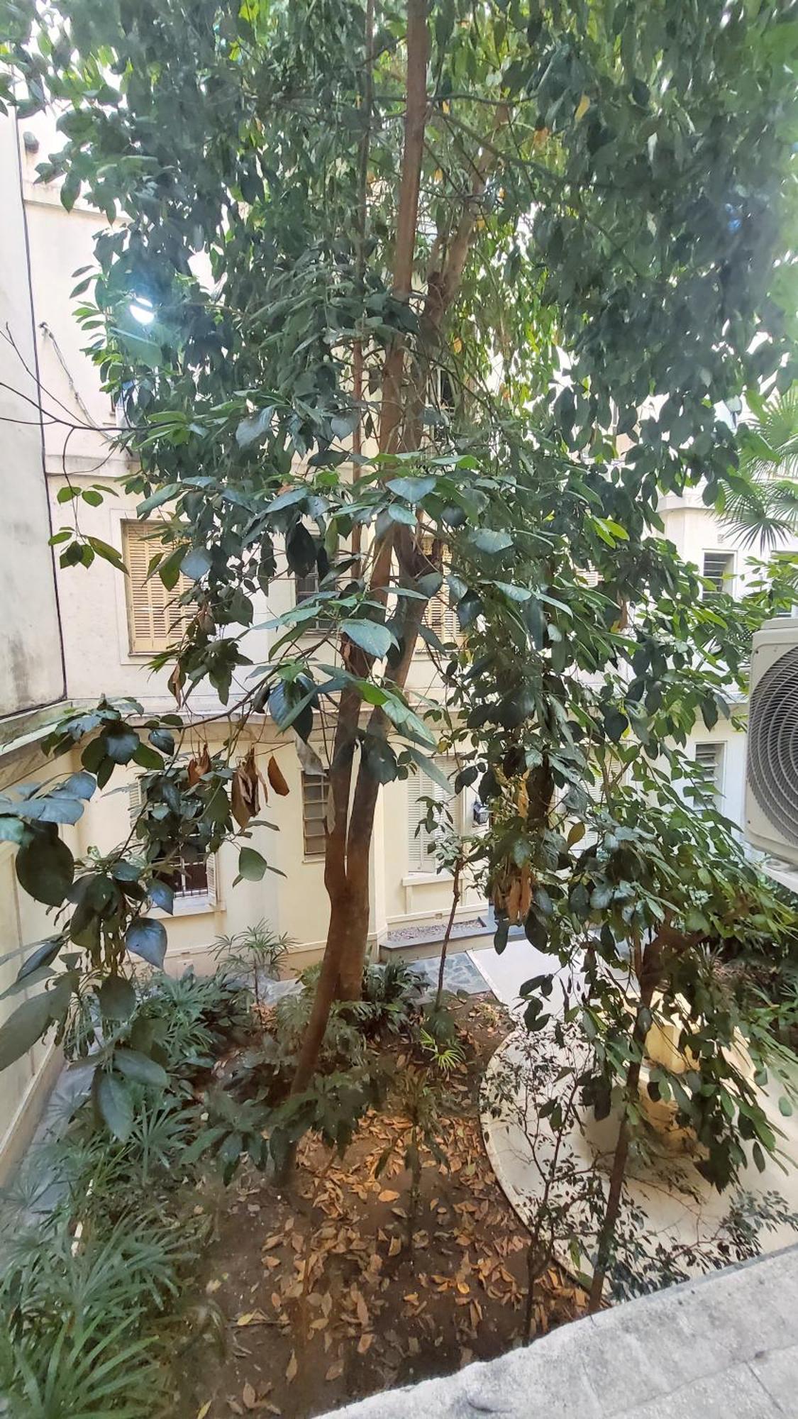 Un Oasis En El Corazon De *