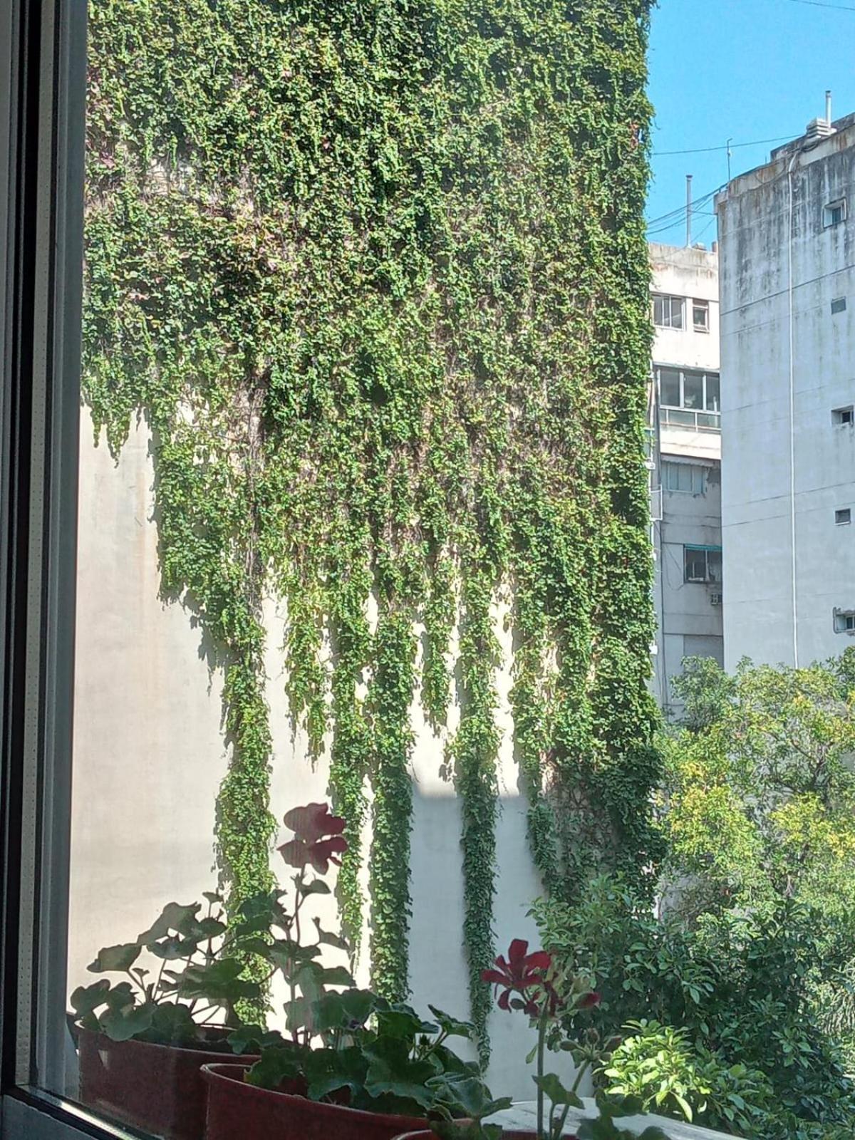 Tu Lugar En Recoleta, Amplio Monoambiente Con Bano Completo Y Cocina Aparte Apartamento *