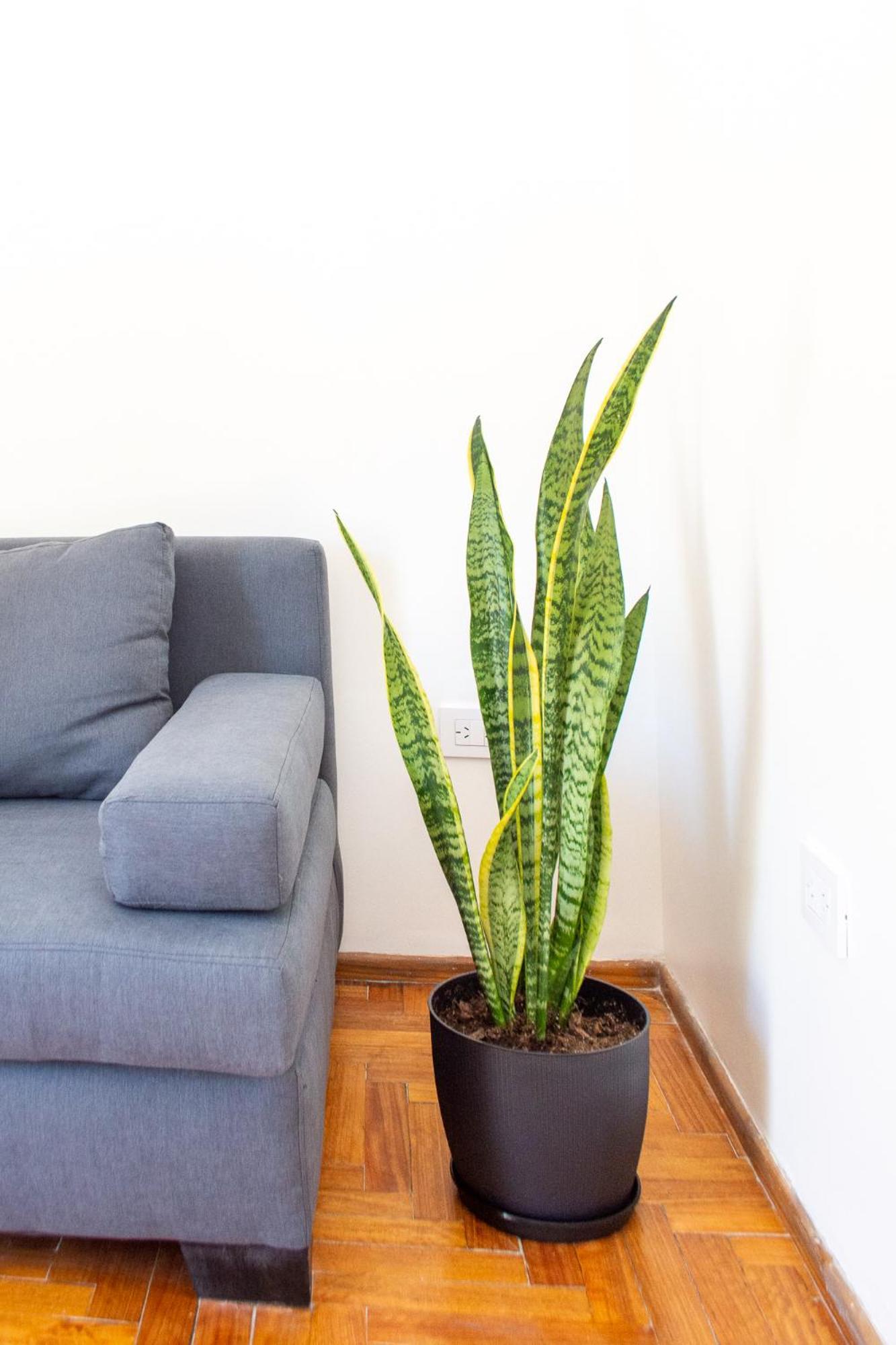 Apartamento Hortiguera Corazon De Caballito Buenos Aires