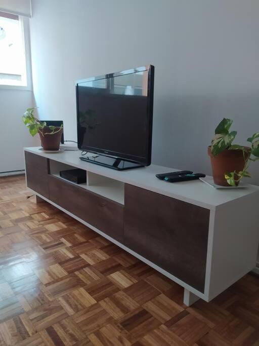 Pax 4! Impecable Departamento En Palermo Botanico, 4pax! Buenos Aires