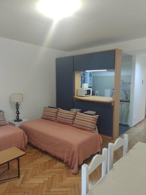 Monoambiente Amplio Y Luminoso Muy Cerca De Universidades Y Sanatorios. Buenos Aires