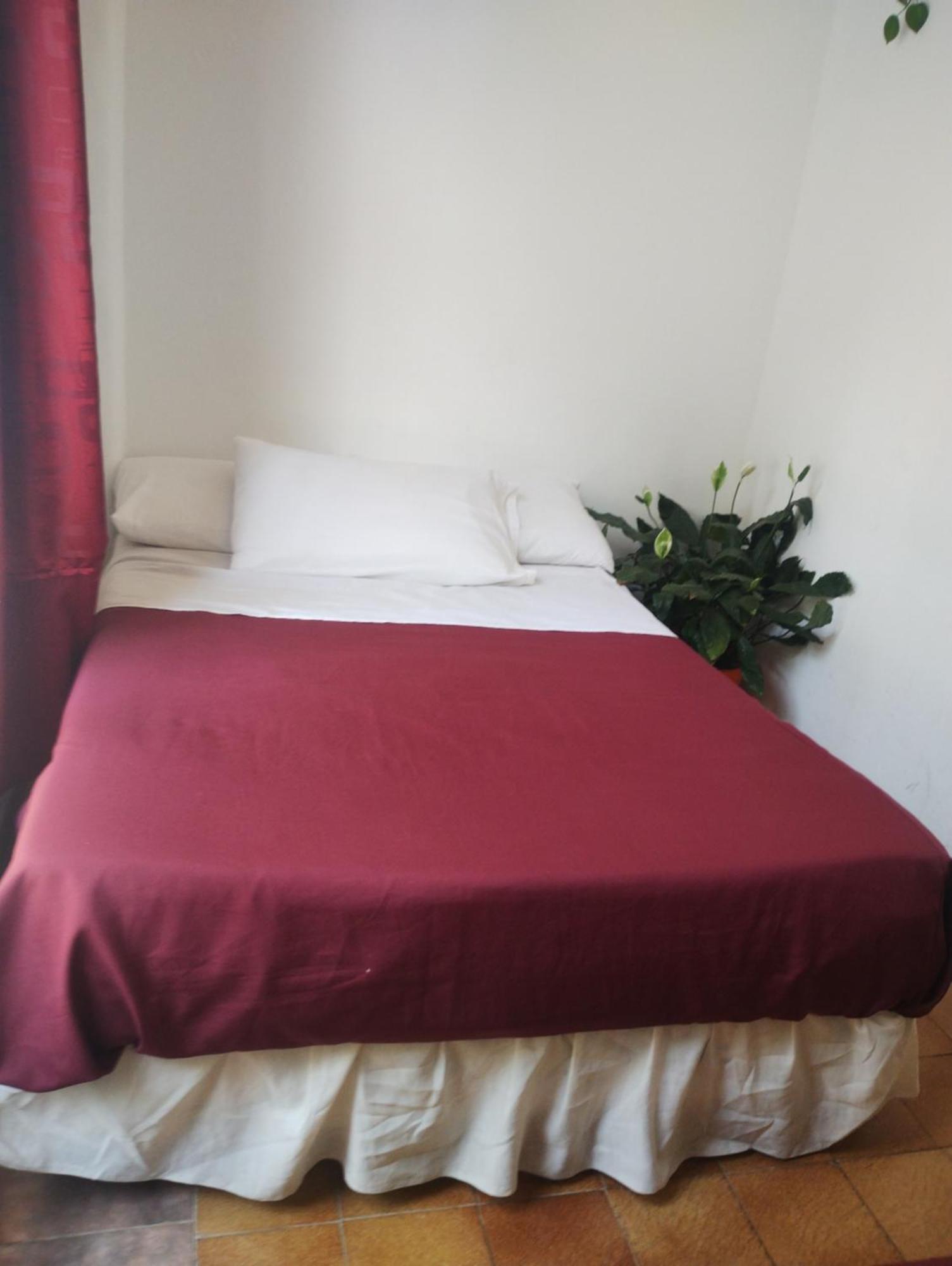 Minerva Hotel *
