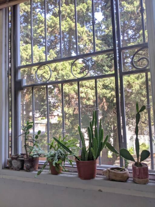 Depto En Del Parque Centro Apartamento Ciudad Autónoma de Buenos Aires
