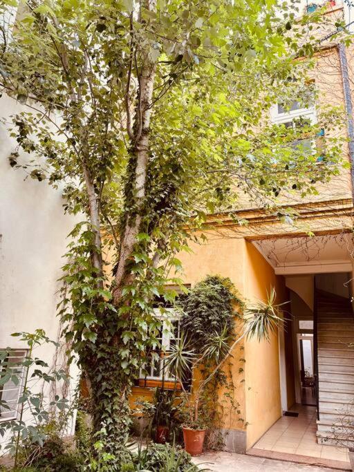 Apartamento Departamento En San Telmo Reciclado A Nuevo, Supercomodo! Ciudad Autónoma de Buenos Aires