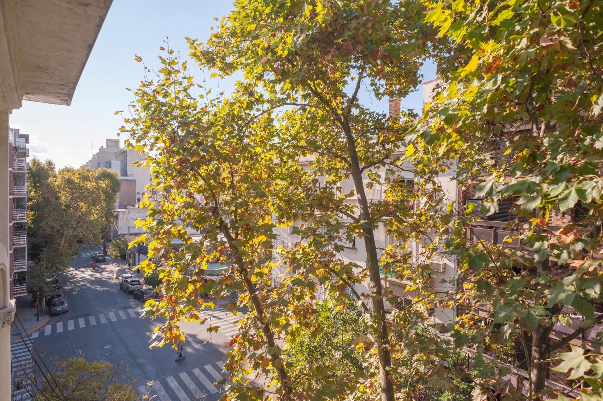Cloudba Charcas Soho Apartamento *