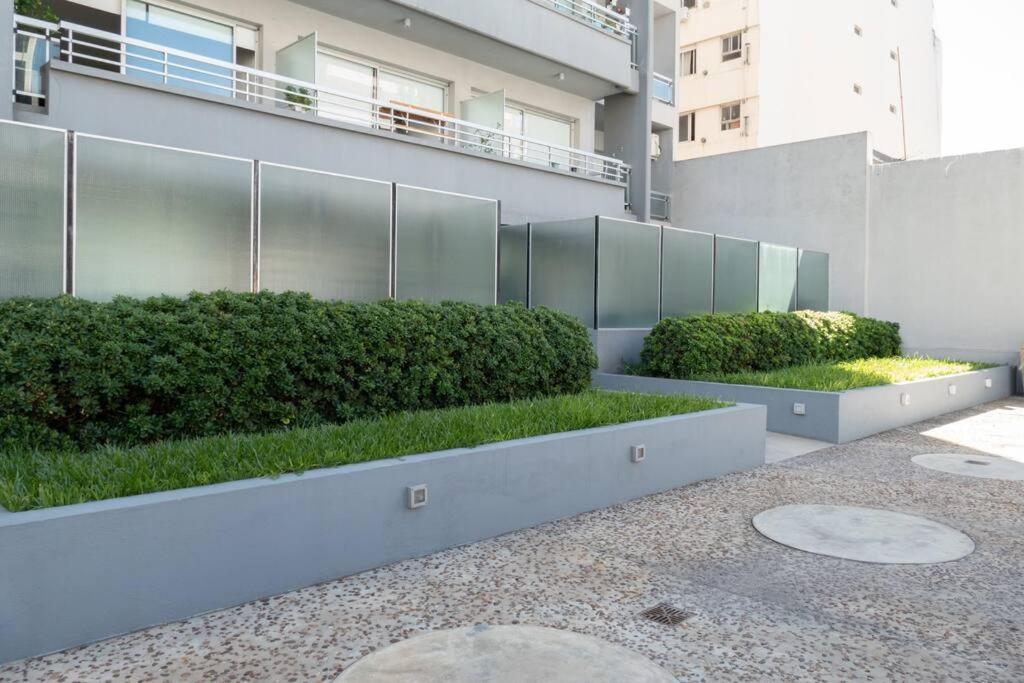 Apartamento Eucalipto Amazing Studio *