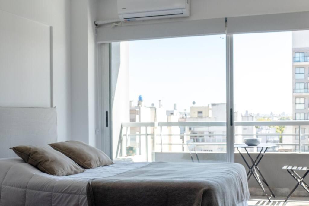 Eucalipto Amazing Studio Ciudad Autónoma de Buenos Aires