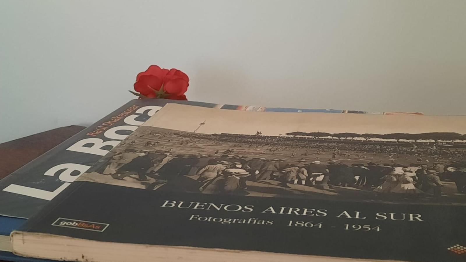 Apartamento Caminito Un Unico En La Boca Con Vista A Caminito *