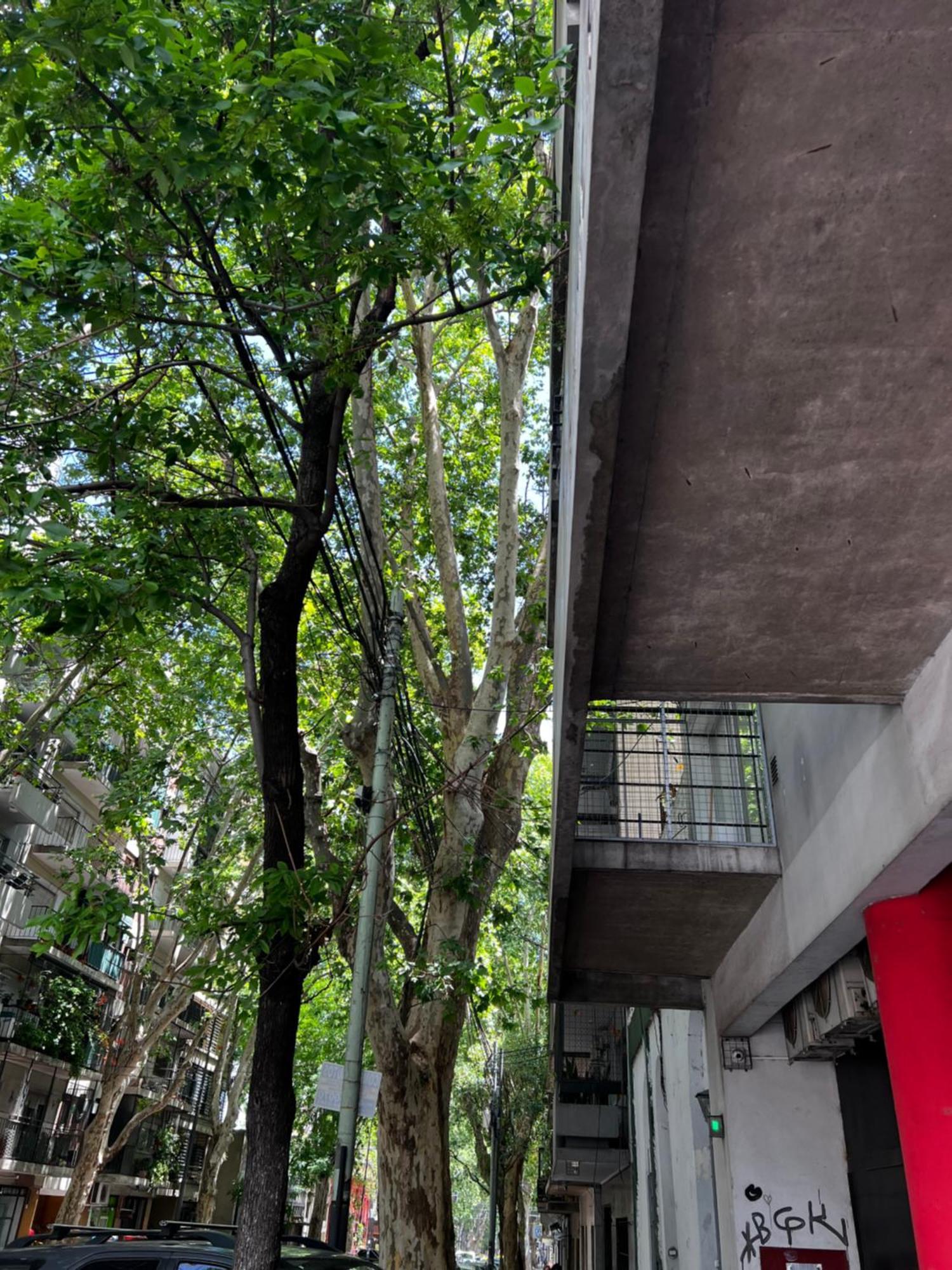 Apartamento Almagro Departamentos De Diseno 2 Ambientes Y Balcon Ciudad Autónoma de Buenos Aires