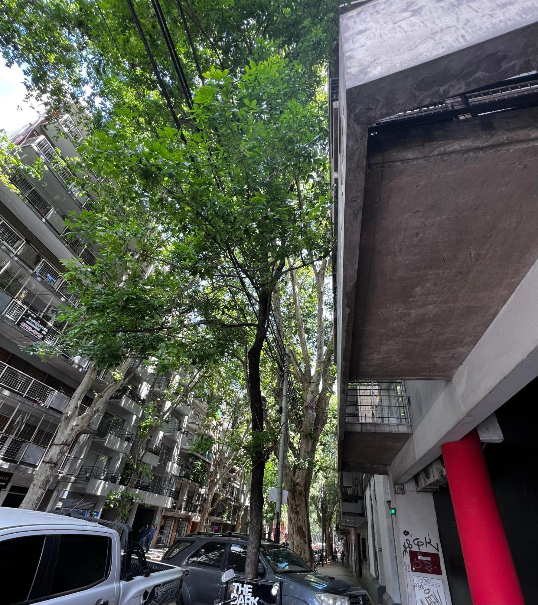 Almagro Departamentos De Diseno 2 Ambientes Y Balcon * Ciudad Autónoma de Buenos Aires