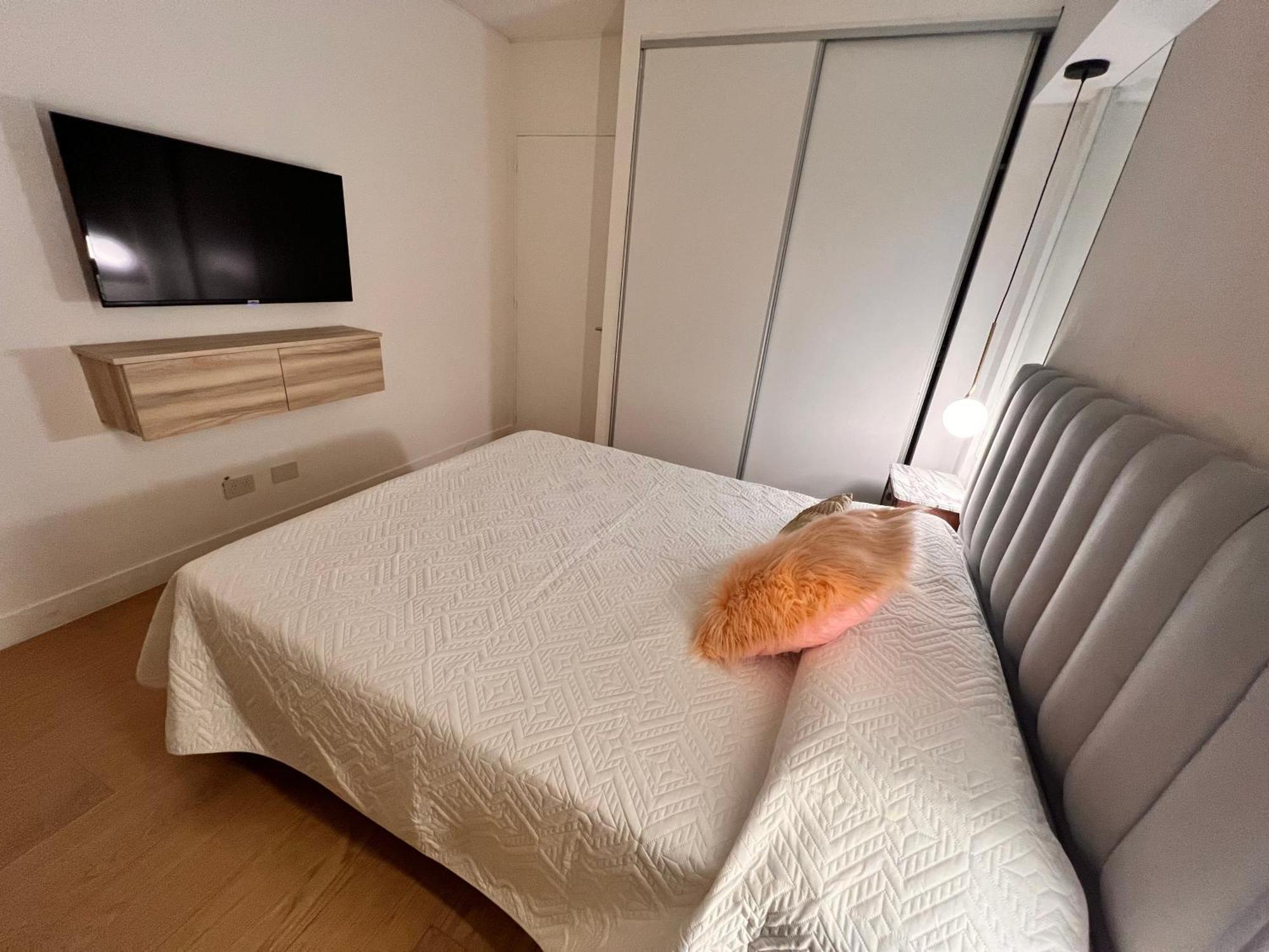 Concepcion Live Apartamento