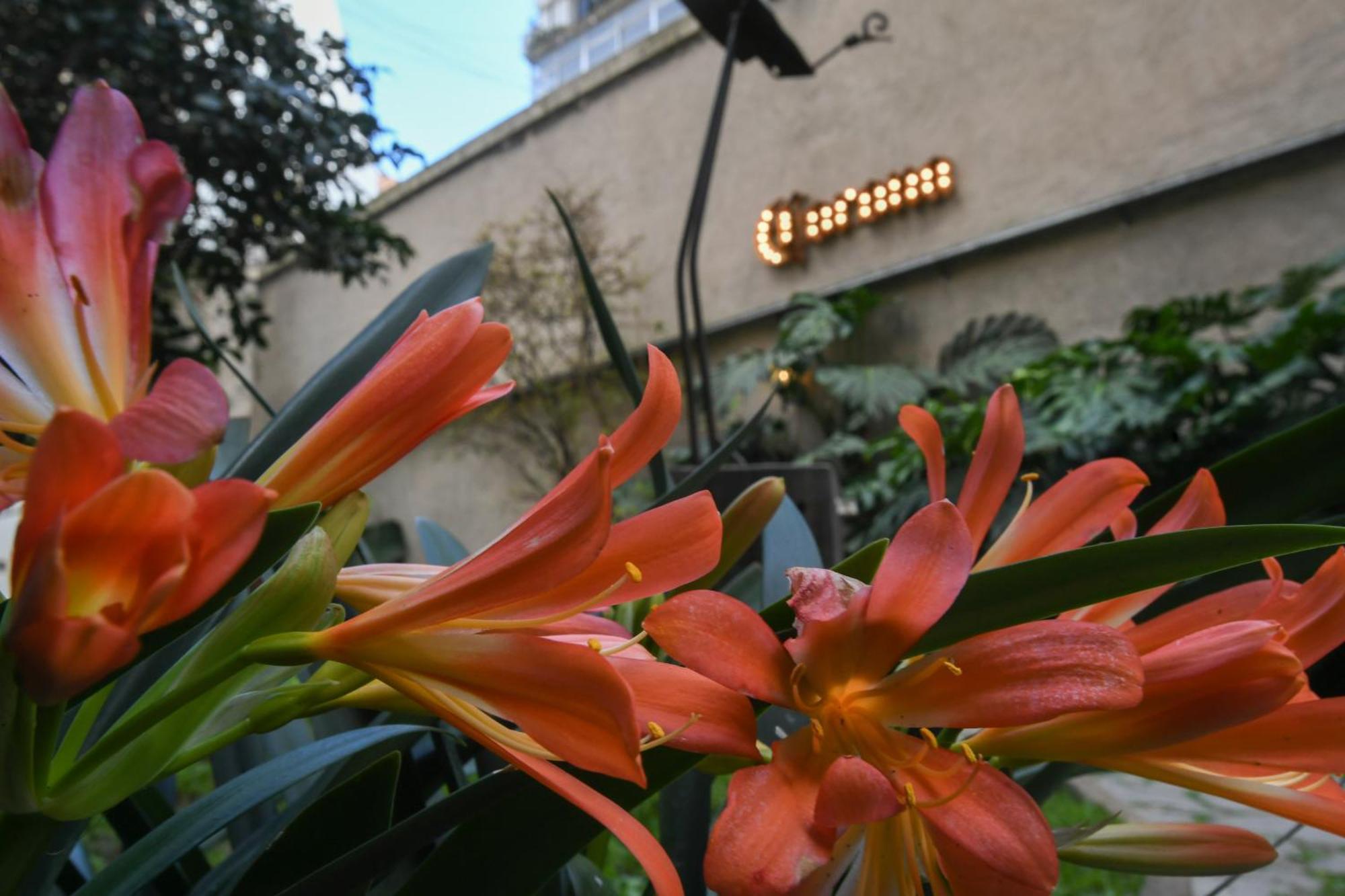 Casa Franca Recoleta Boutique Hostel Buenos Aires