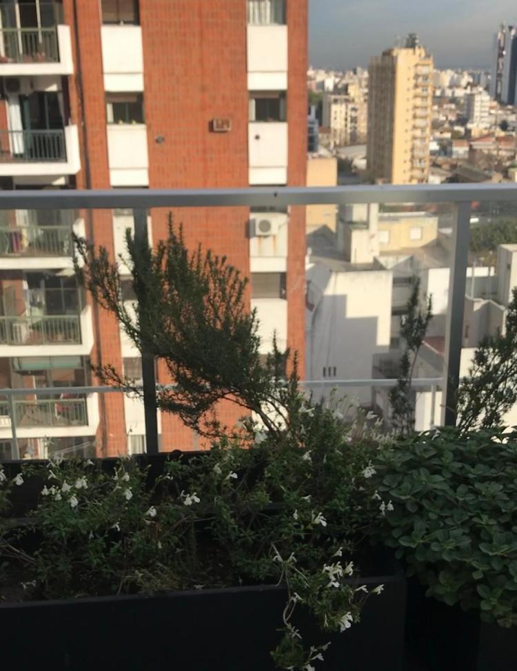 Apartamento Calido Monoambiente En El Corazon De *