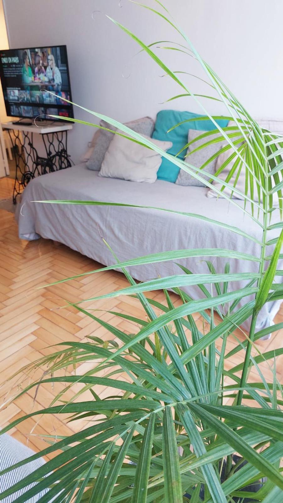 Apartamento Miralejos Recoleta Gran Splendid