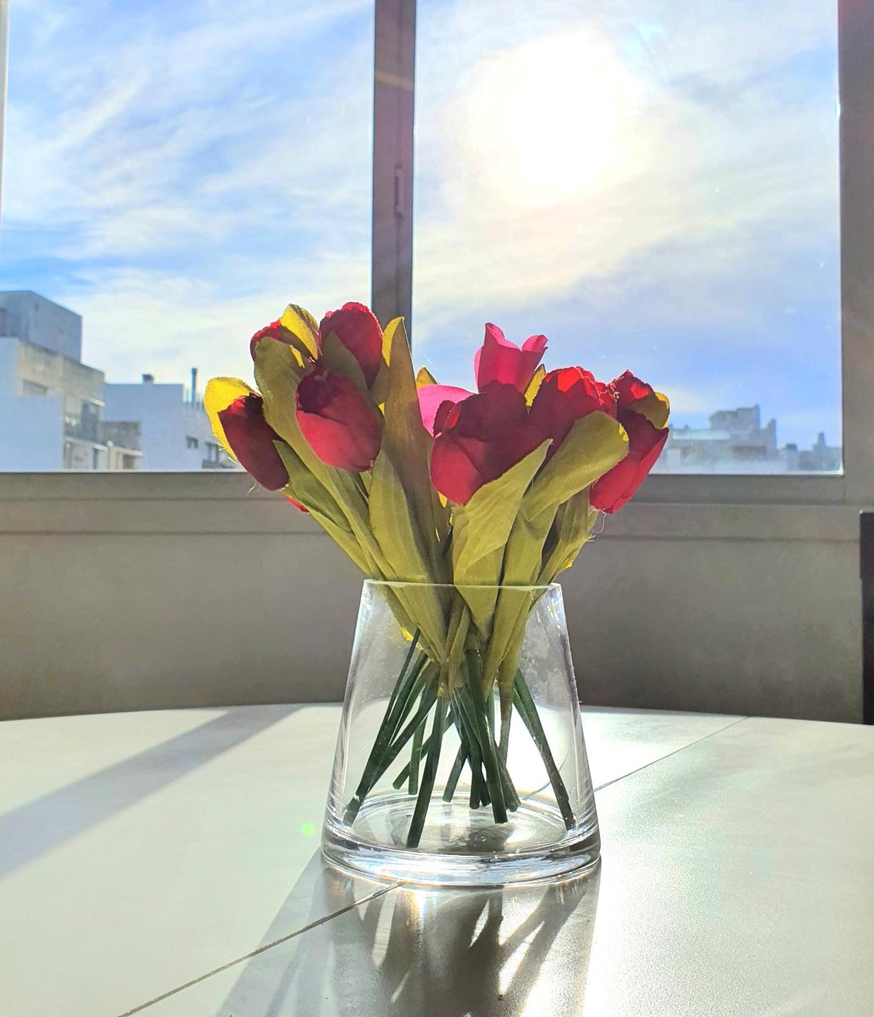 Sol De Palermo Ciudad Autónoma de Buenos Aires