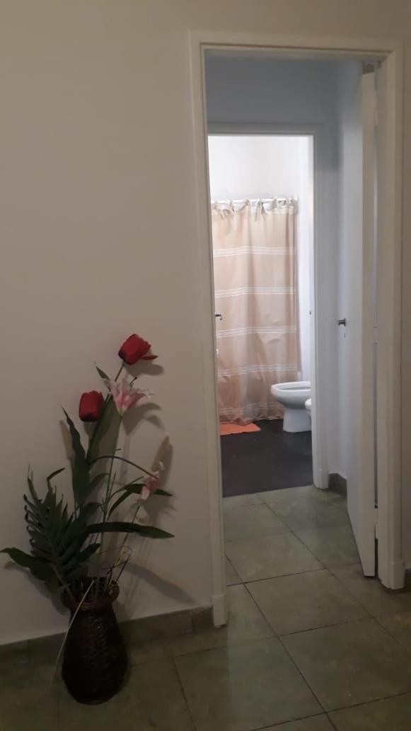 Apartment Violetas *