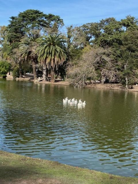 Departamento En Palermo, Lindo Y Muy Bien Ubicado Ciudad Autónoma de Buenos Aires