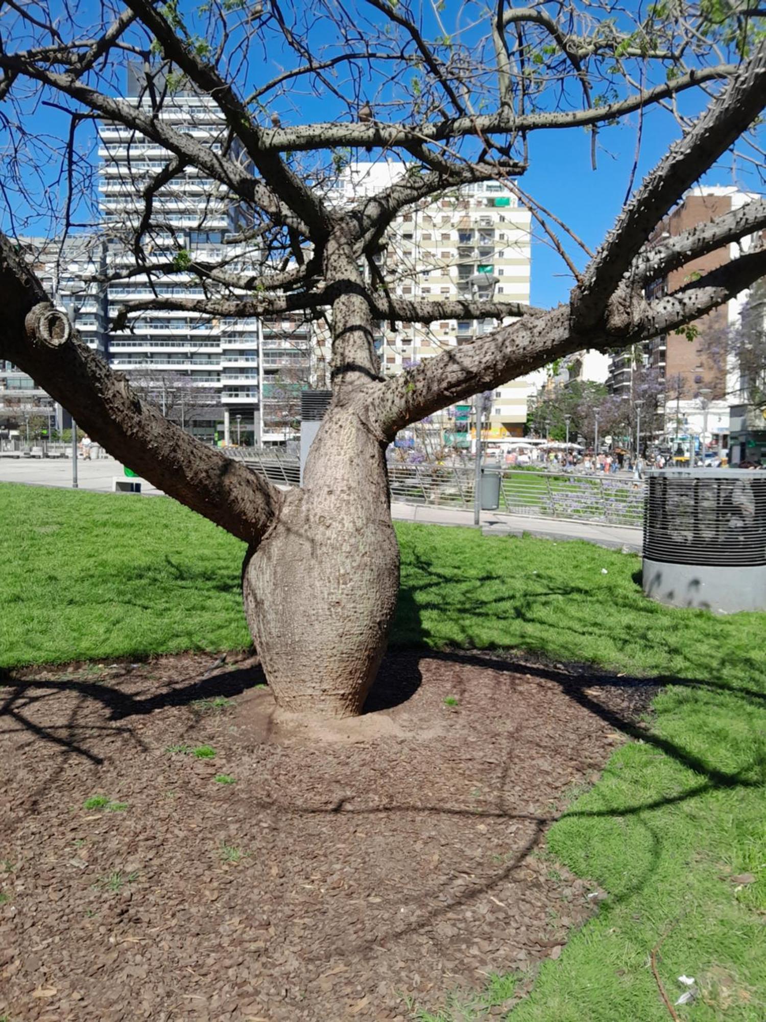 Ciudad De Bs As 1 Apartamento Buenos Aires