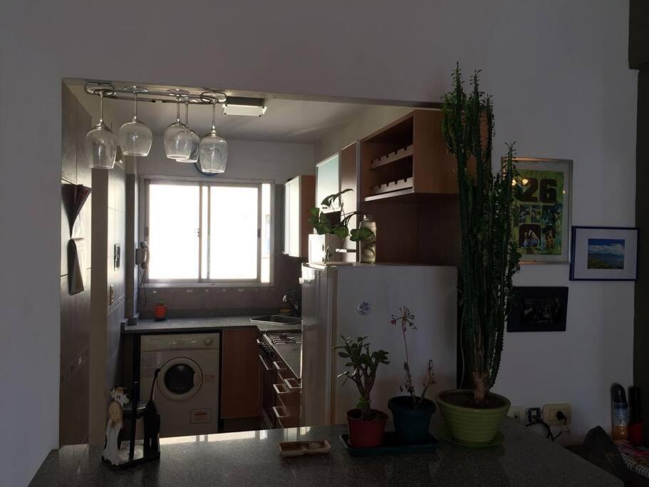 La Luz De San Telmo Apartamento