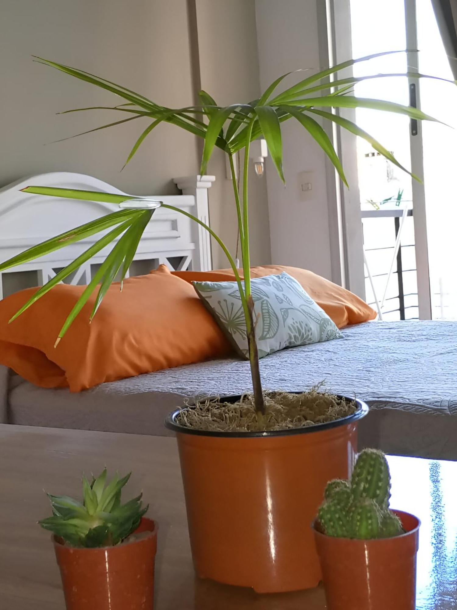 Donde El Alma Sonrie Ahi Es Piscina Jardin Facil Acceso Por Avda 9 De Julio