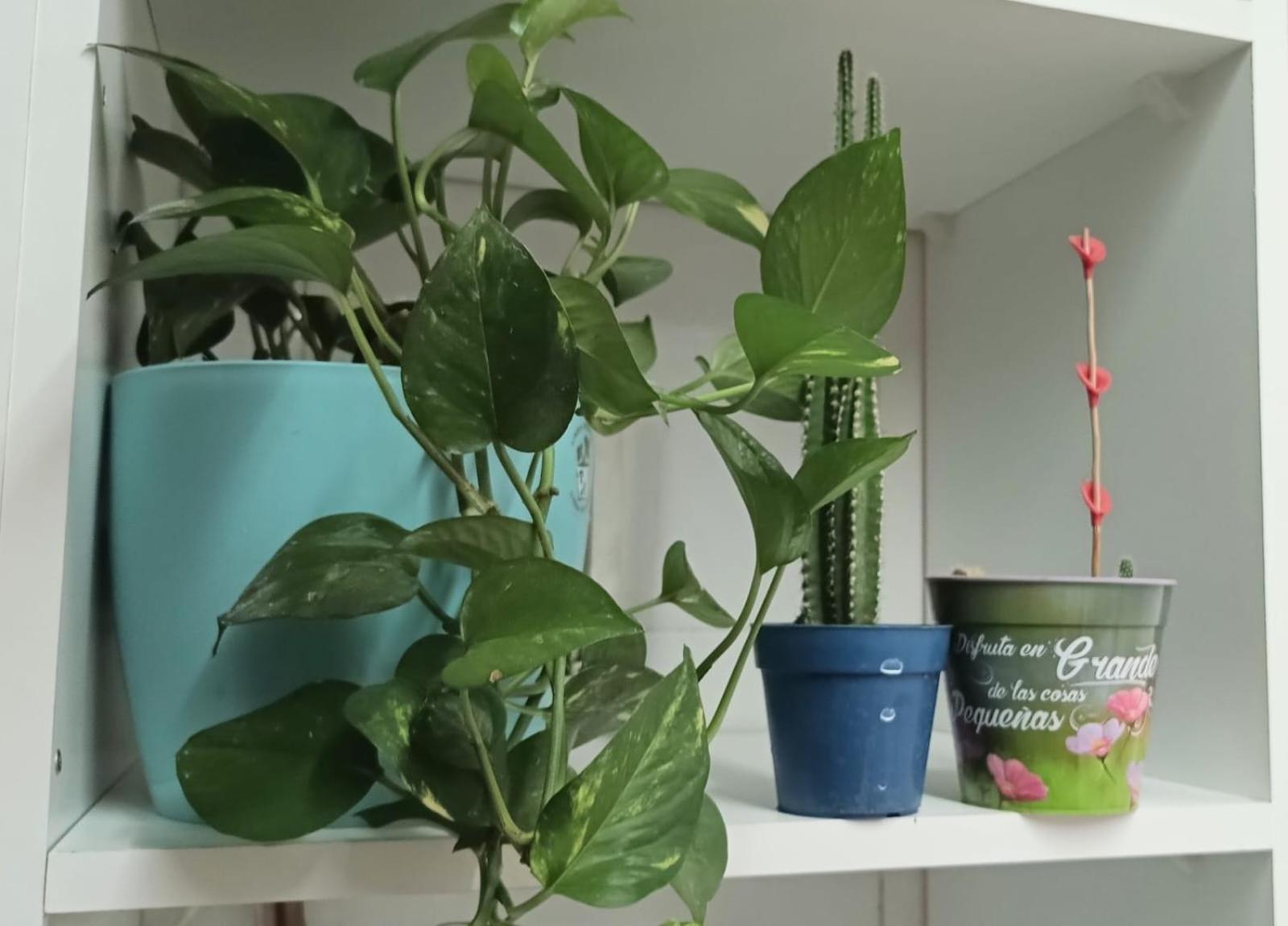 Apartamento Irigoyen1427 Buenos Aires