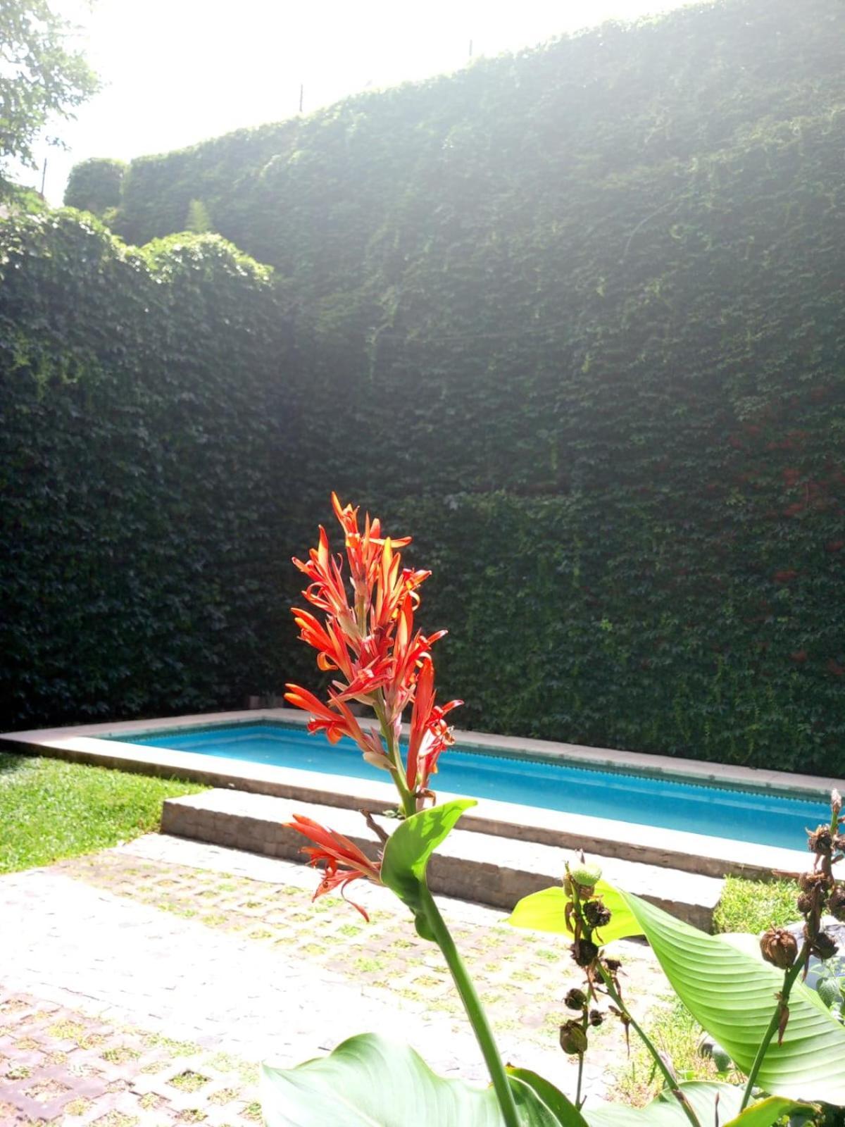 Donde El Alma Sonrie Ahi Es Piscina Jardin Facil Acceso Por Avda 9 De Julio Ciudad Autónoma de Buenos Aires